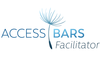 Access Bars Faciilitator Basel